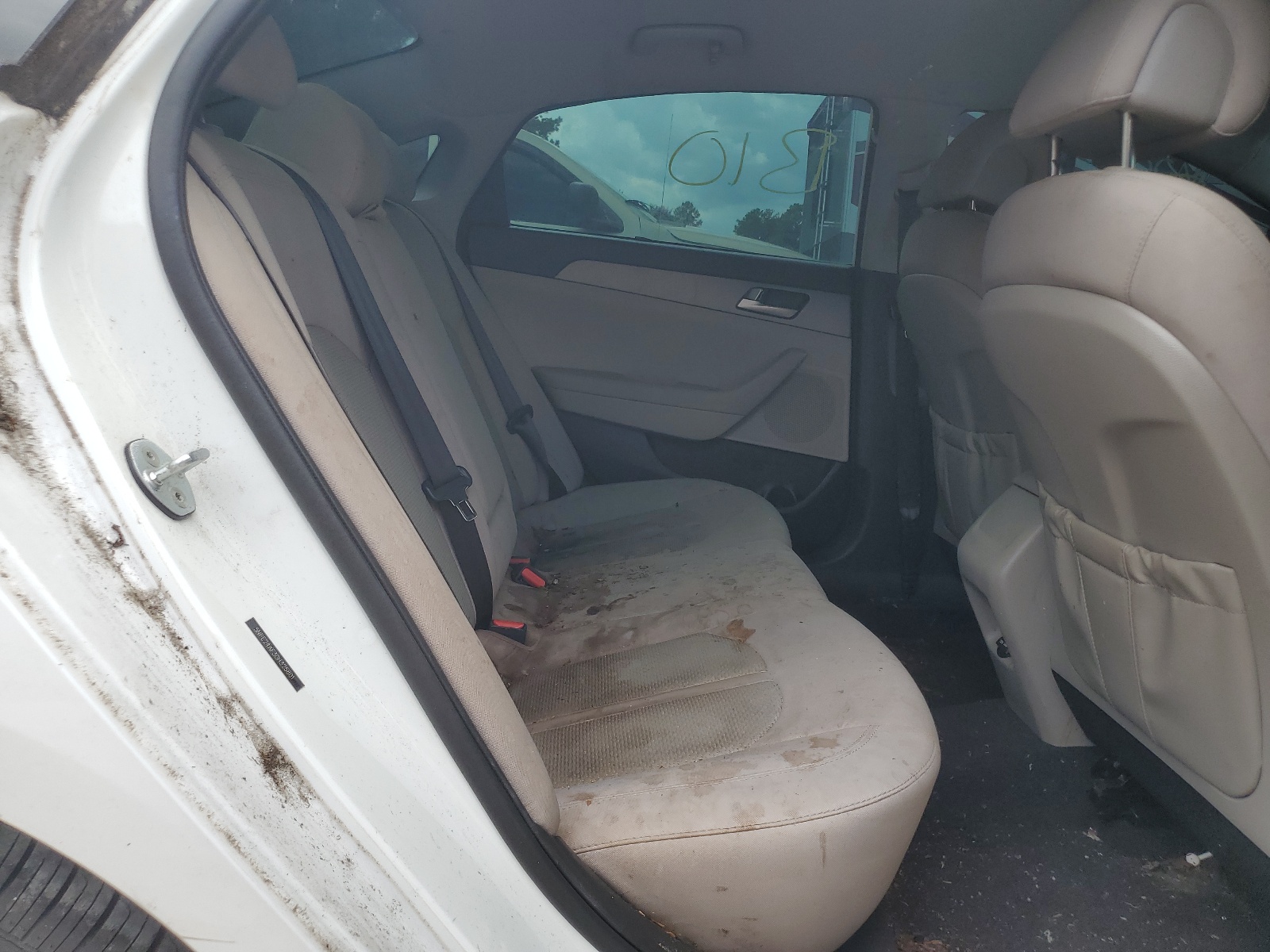 5NPE24AF3GH325801 2016 Hyundai Sonata Se