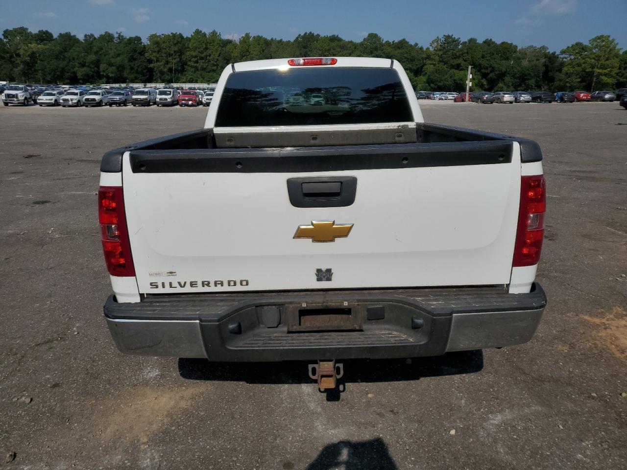 2013 Chevrolet Silverado C1500 VIN: 1GCRCPEA3DZ361670 Lot: 67742284