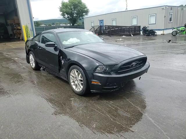 2013 Ford Mustang VIN: 1ZVBP8AM8D5226183 Lot: 66305554