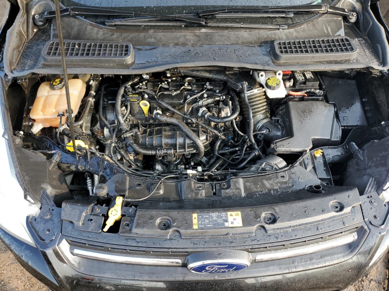 2014 Ford Escape Se VIN: 1FMCU9GX7EUD96027 Lot: 67663504