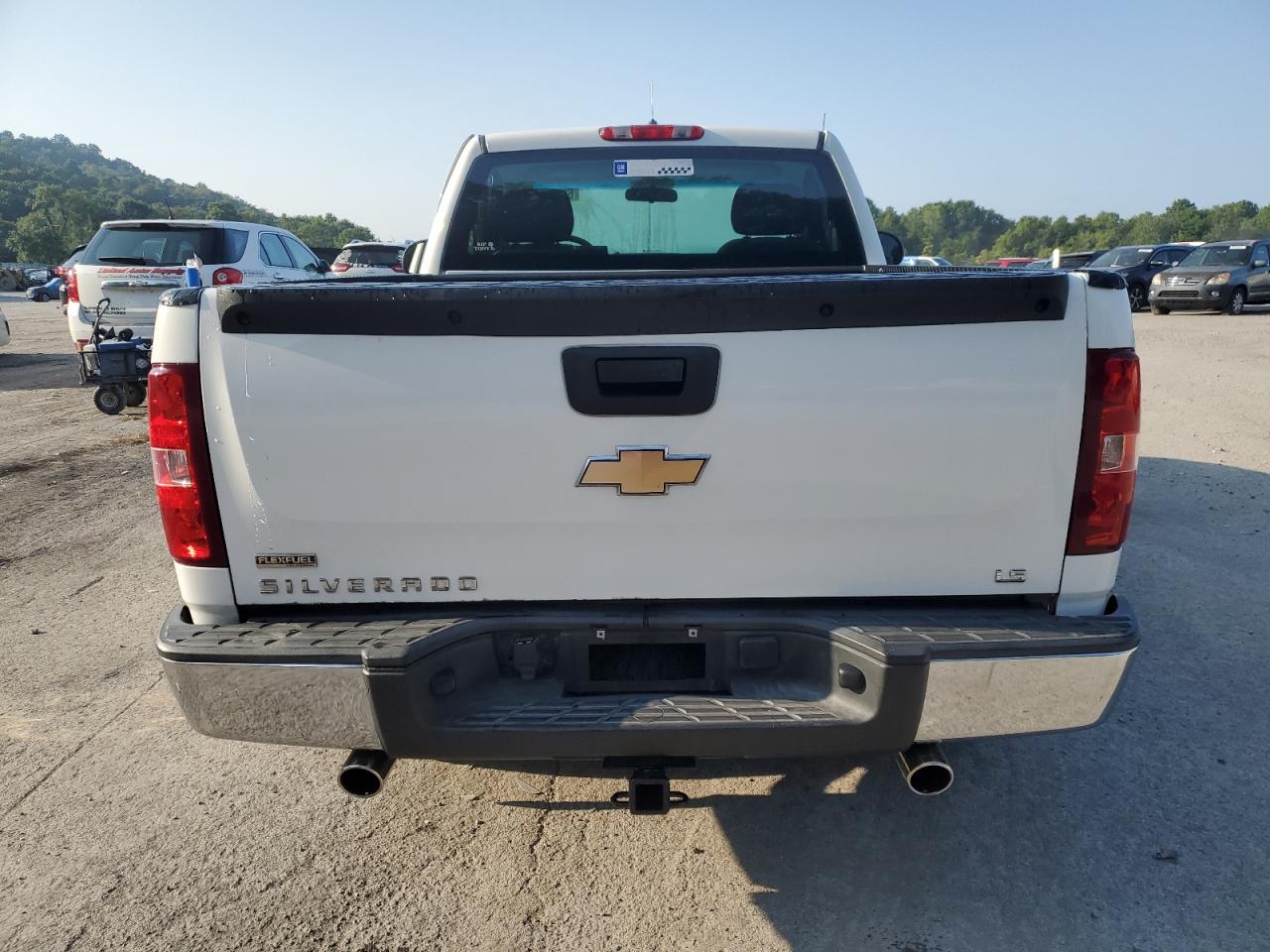 2010 Chevrolet Silverado C1500 VIN: 1GCPCPEA1AZ184796 Lot: 66854514