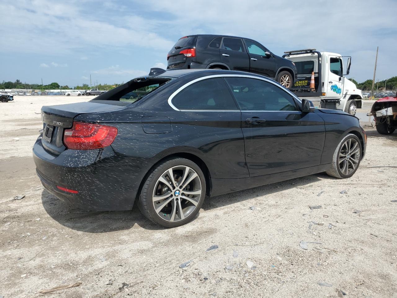 2017 BMW 230I VIN: WBA2F9C38HV983846 Lot: 66369934