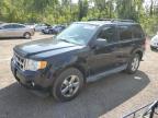 2009 Ford Escape Xlt იყიდება Cookstown-ში, ON - Water/Flood