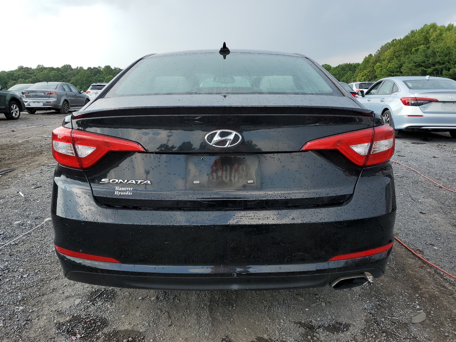 5NPE24AF9GH288835 2016 Hyundai Sonata Se