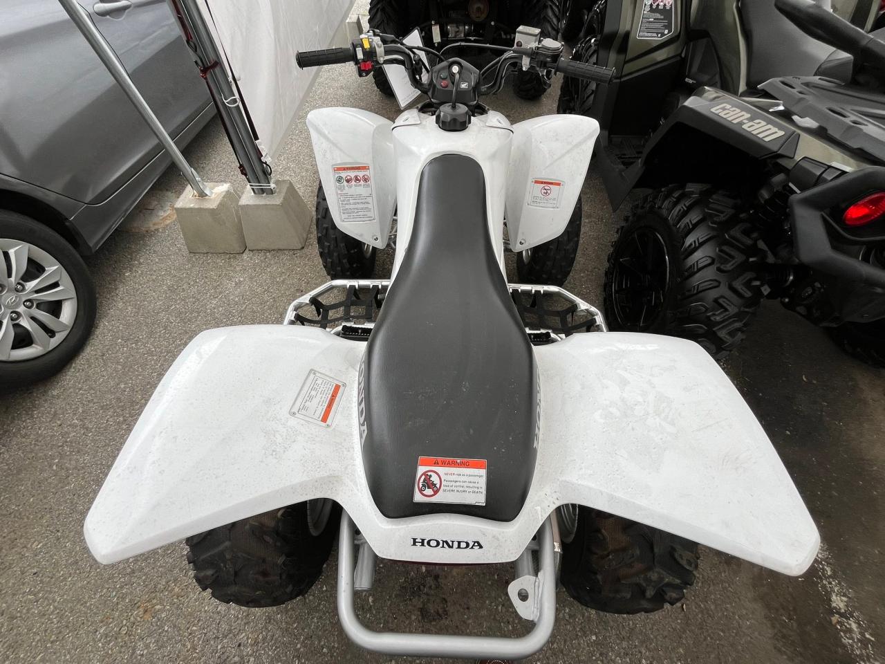 2008 Honda Trx250 Ex VIN: 1HFTE270284701911 Lot: 66252654