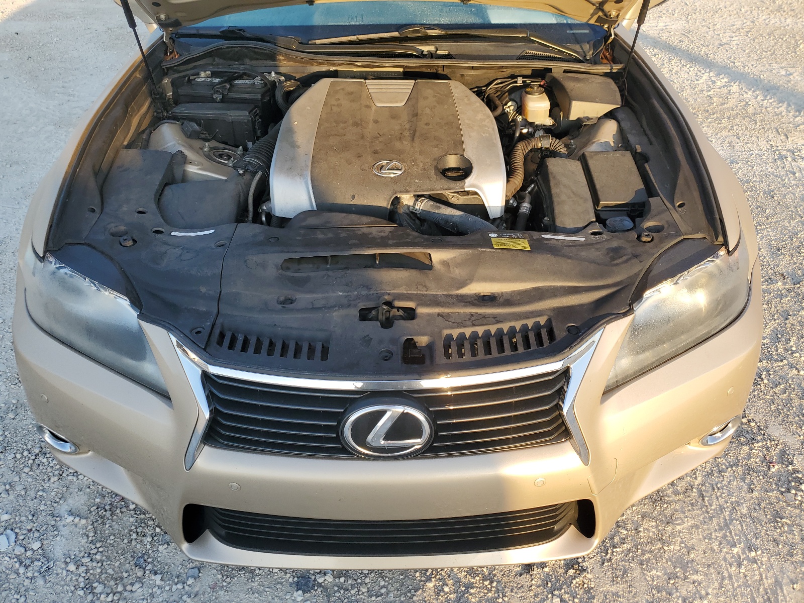 JTHBE1BL2D5022628 2013 Lexus Gs 350