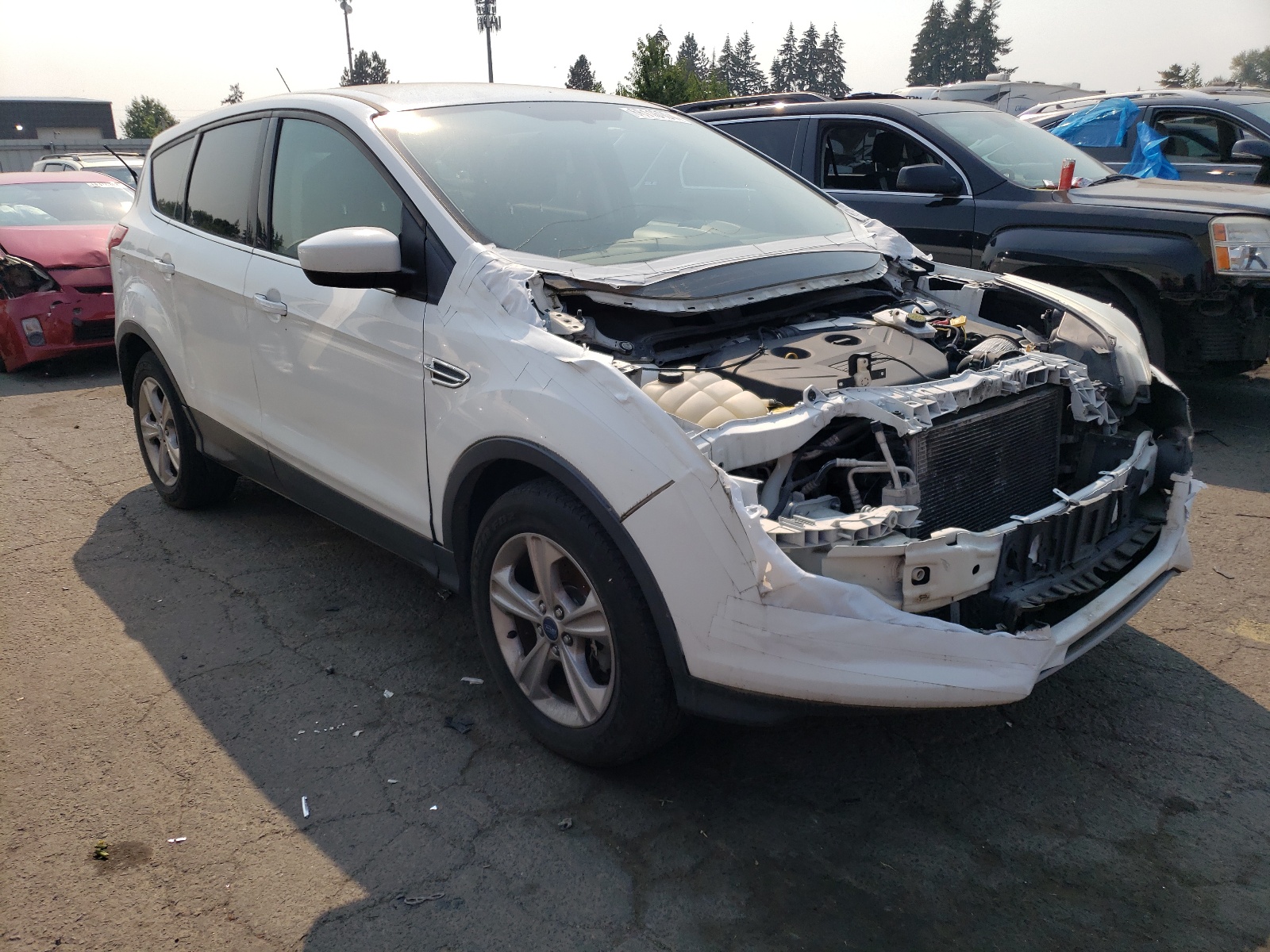 2013 Ford Escape Se vin: 1FMCU9G90DUA14386