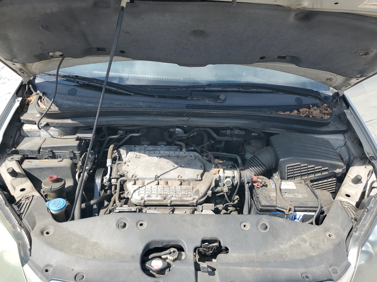 5FNRL38795B021469 2005 Honda Odyssey Exl