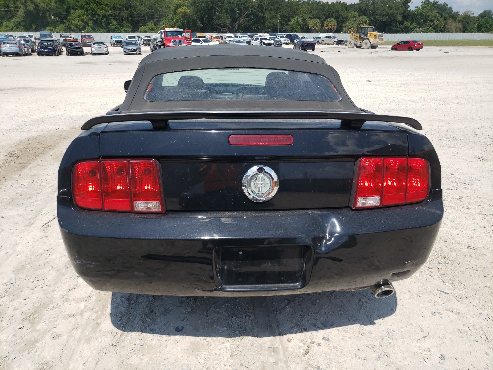 1ZVFT84N565198265 2006 Ford Mustang