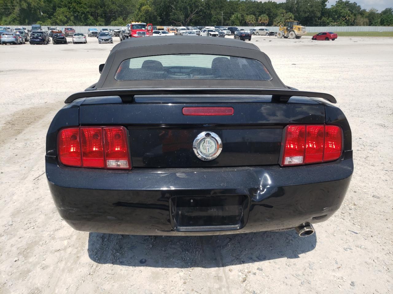 2006 Ford Mustang VIN: 1ZVFT84N565198265 Lot: 67289164