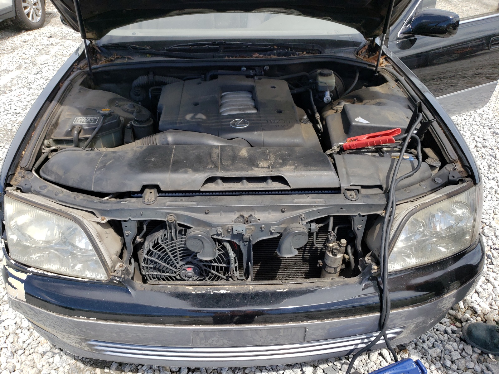 JT8BH28F4W0110448 1998 Lexus Ls 400