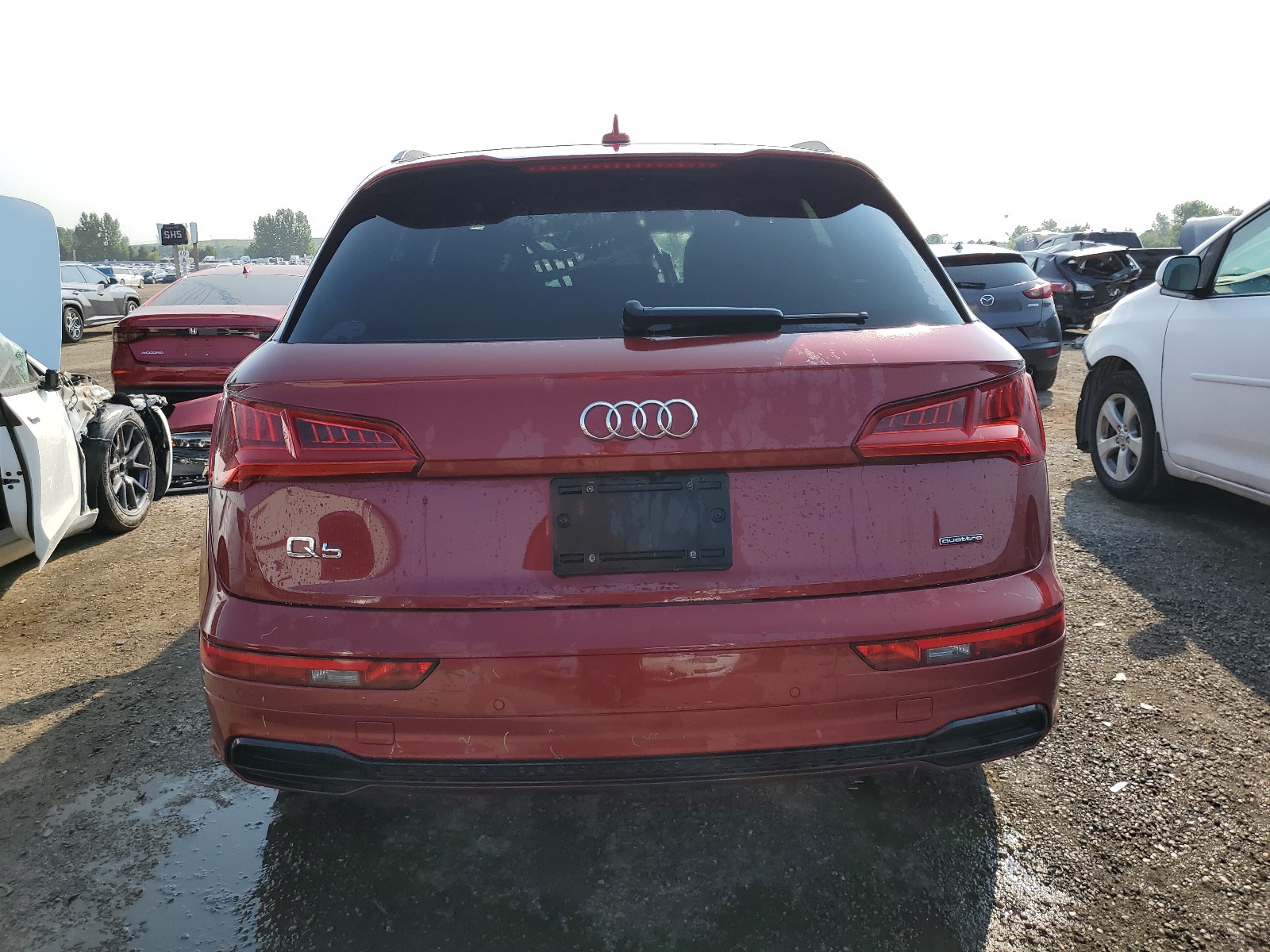 WA1ENAFY2K2081546 2019 Audi Q5 Progressiv S-Line