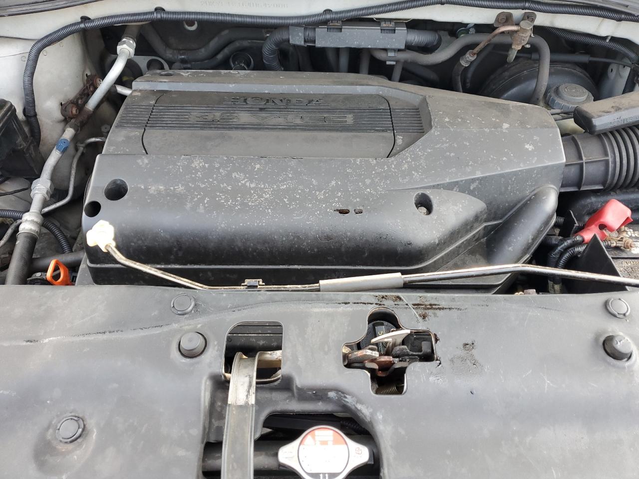 2004 Honda Pilot Lx VIN: 2HKYF18164H542006 Lot: 64786584