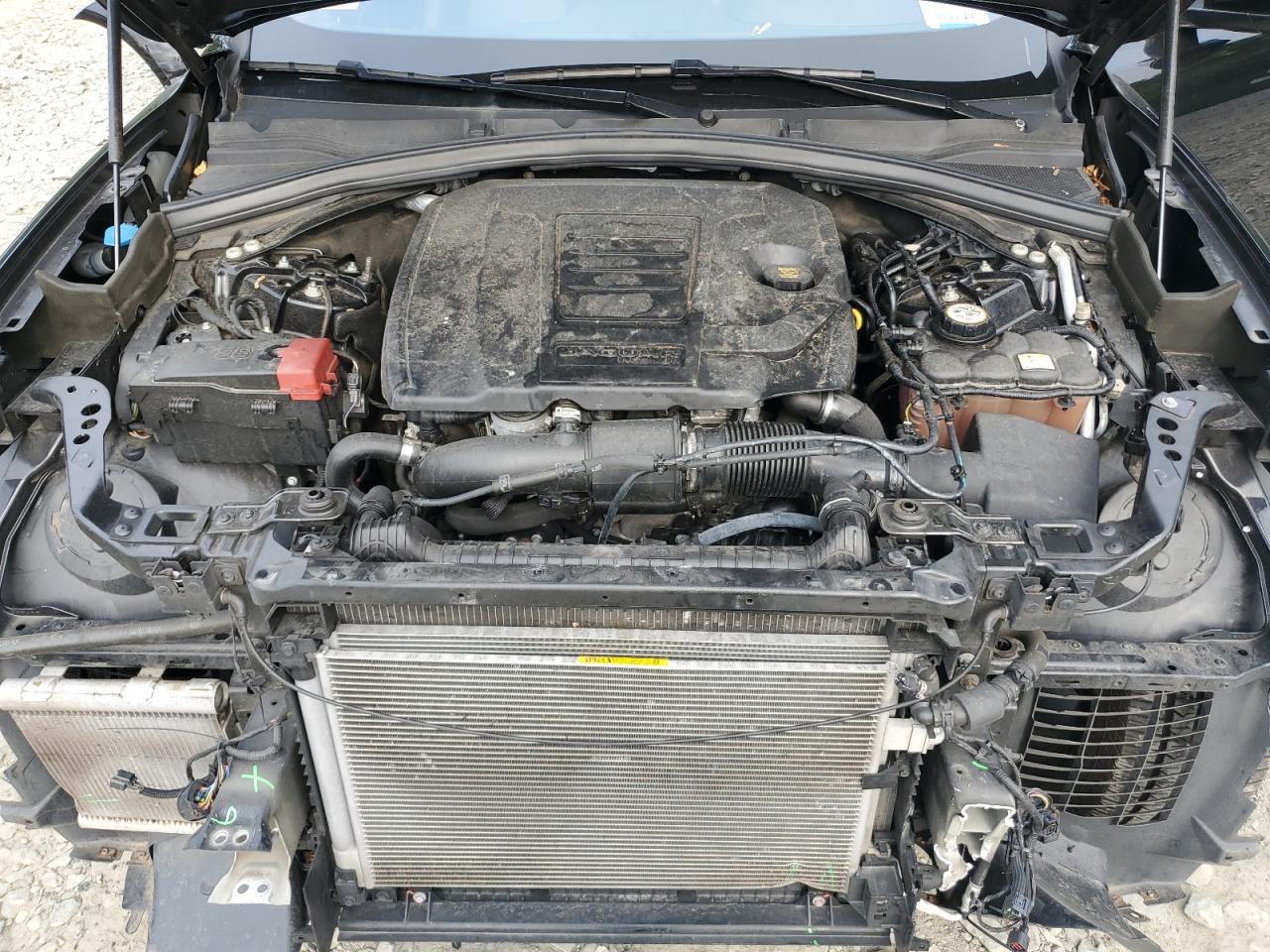 2019 Jaguar F-Pace Premium VIN: SADCJ2FX7KA395225 Lot: 66041034