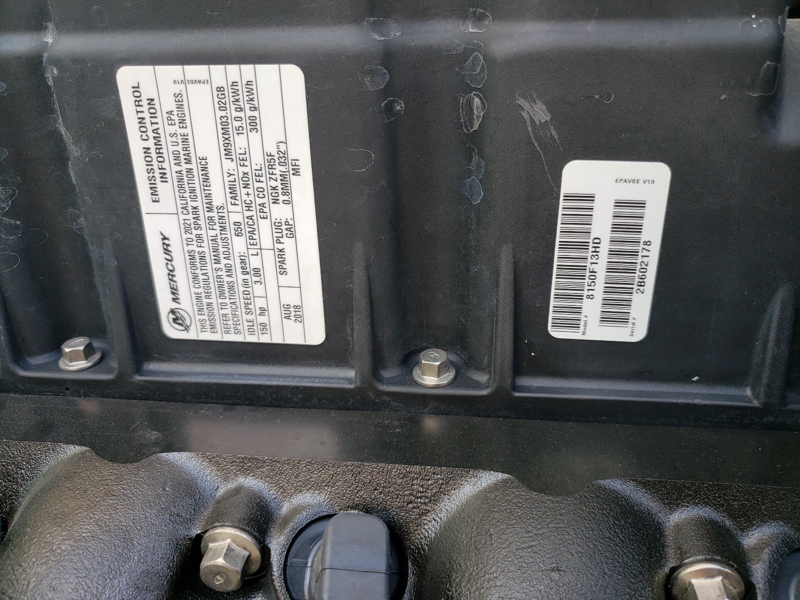 8150F13HD 2020 Mercury Motor