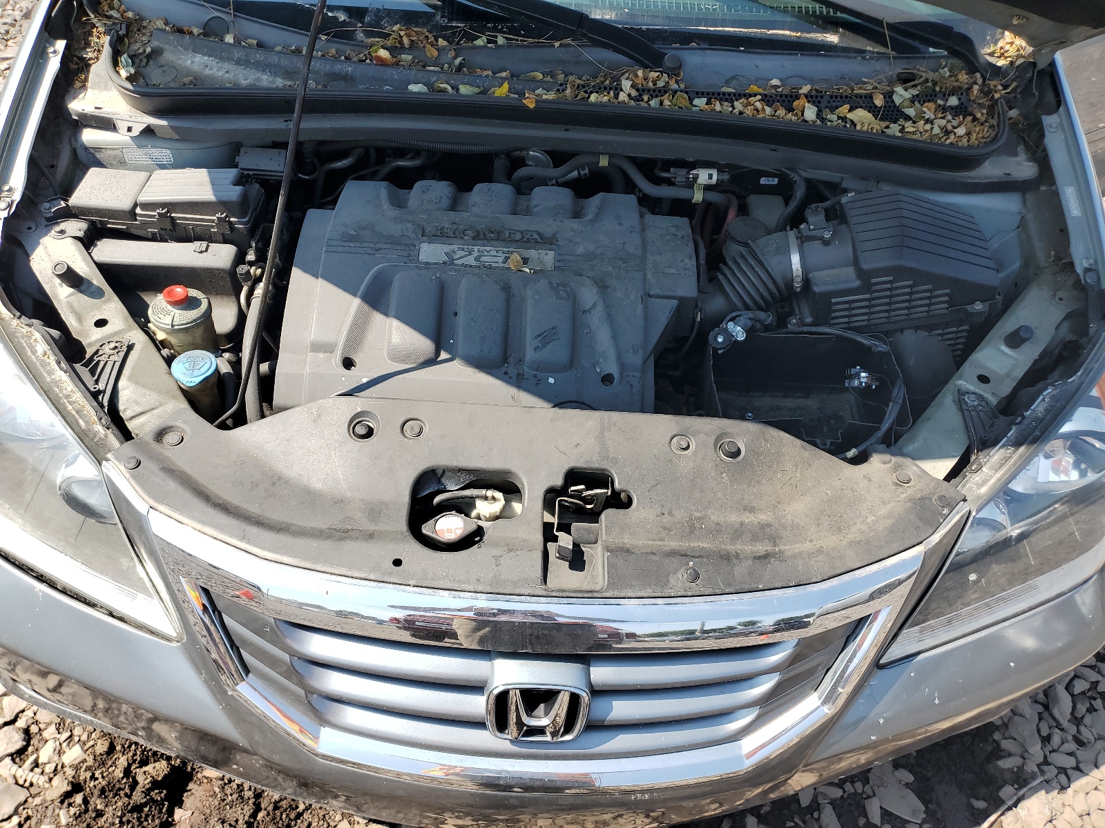 5FNRL38669B008000 2009 Honda Odyssey Exl