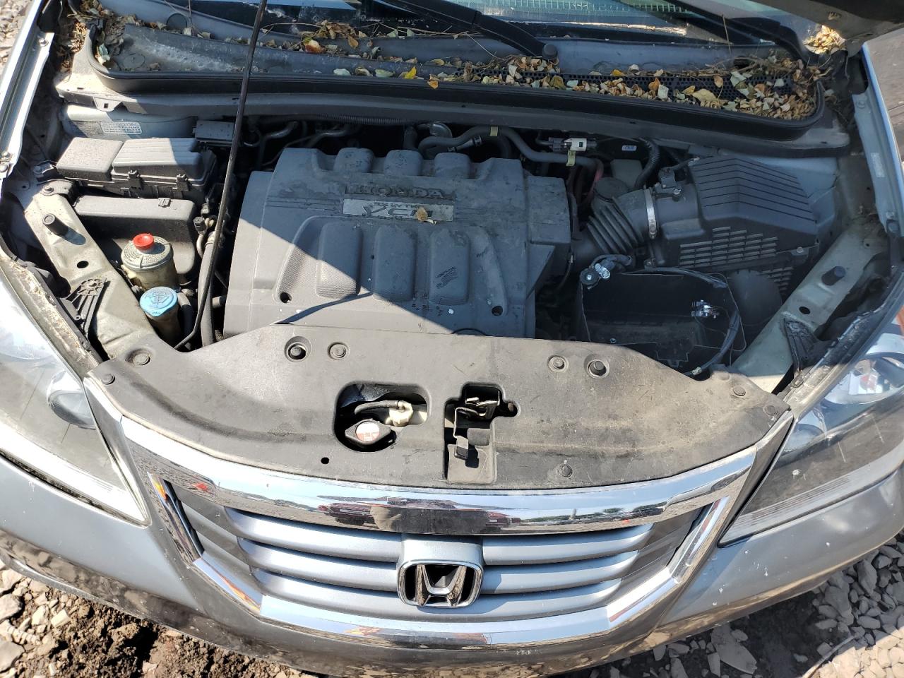 2009 Honda Odyssey Exl VIN: 5FNRL38669B008000 Lot: 65744624