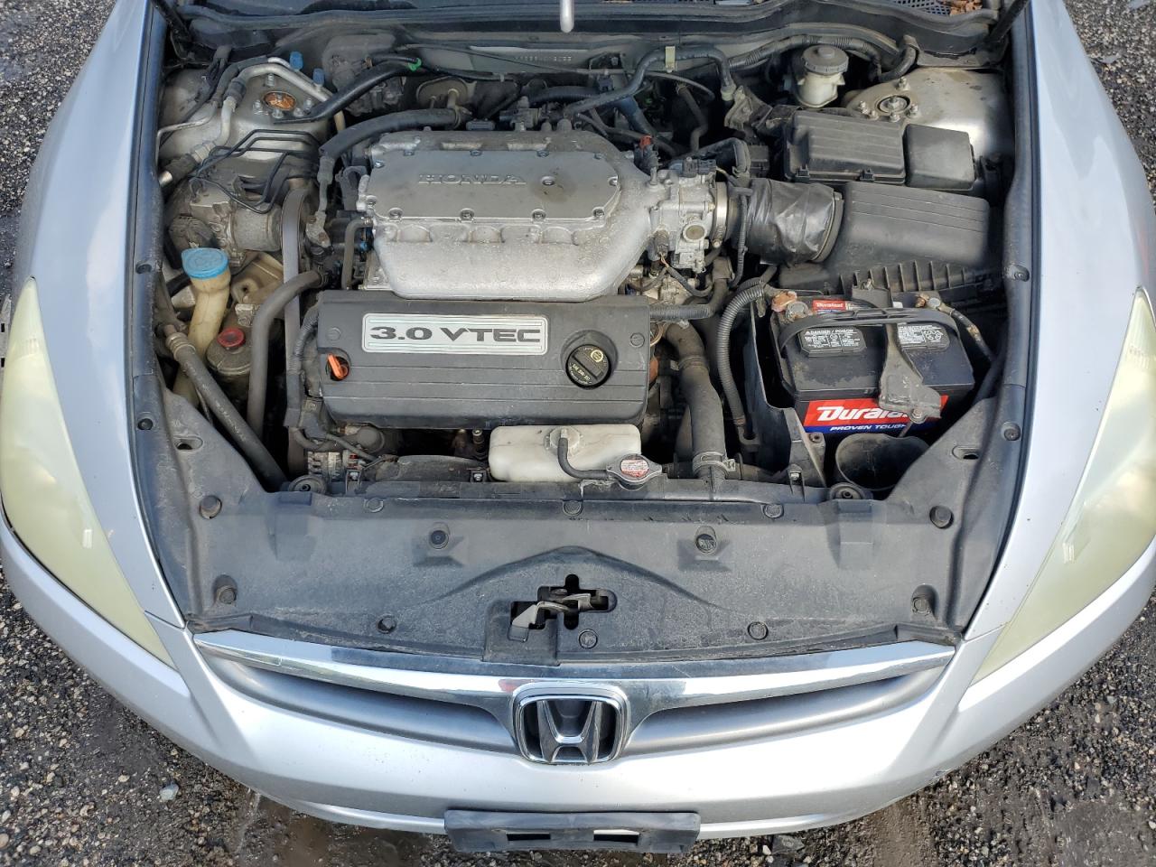 2006 Honda Accord Ex VIN: 1HGCM66836A013055 Lot: 66692264