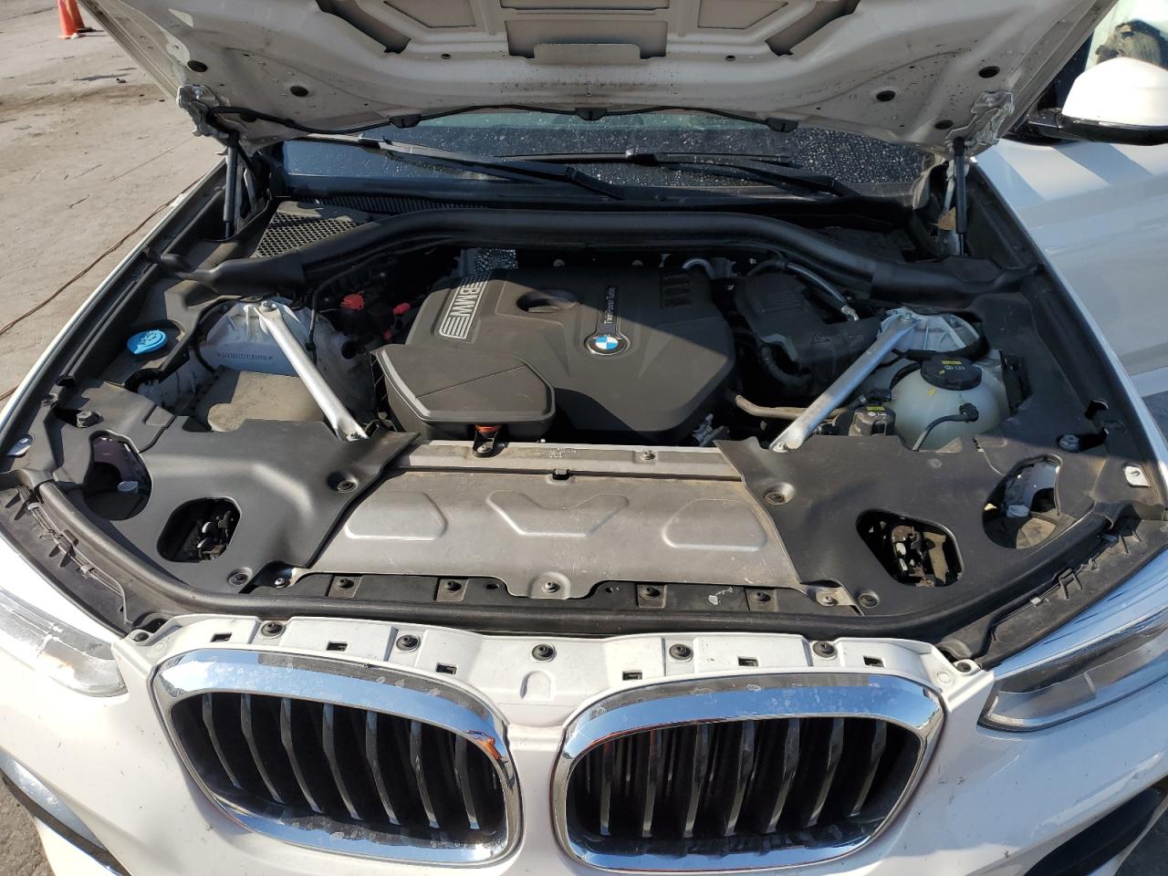 2019 BMW X3 Sdrive30I VIN: 5UXTR7C52KLR39914 Lot: 66944934