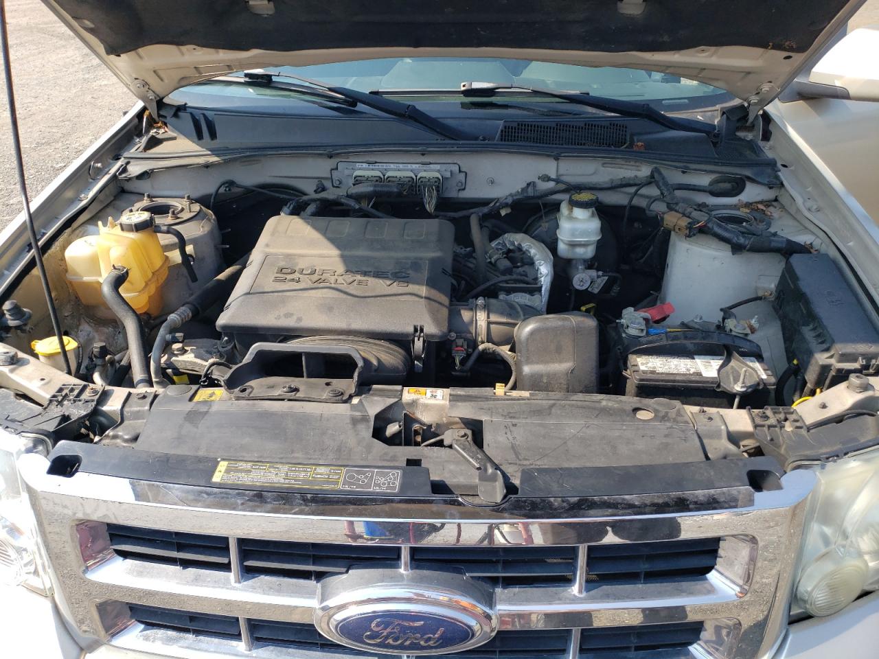 2010 Ford Escape Limited VIN: 1FMCU9EG3AKA31675 Lot: 66078944