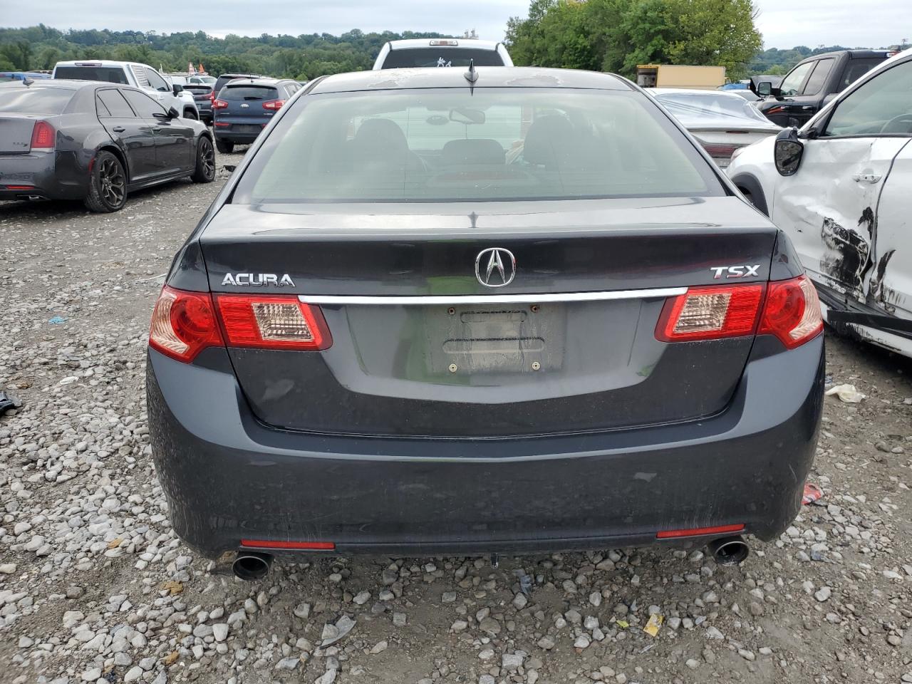 2013 Acura Tsx VIN: JH4CU2F49DC004039 Lot: 66076514