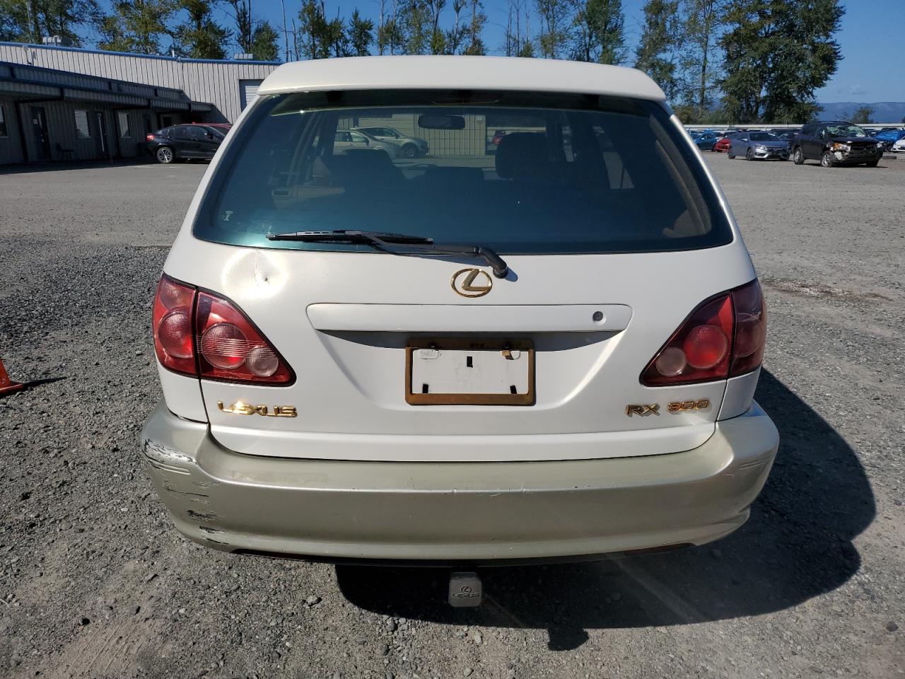 1999 Lexus Rx 300 VIN: JT6HF10U4X0054283 Lot: 69423754