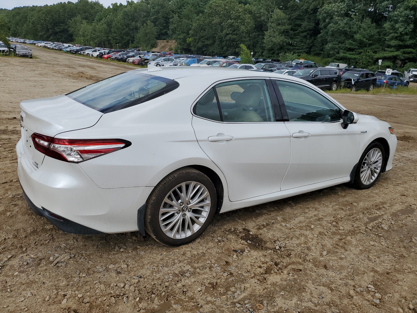 2019 Toyota Camry Hybrid vin: 4T1B21HKXKU014185