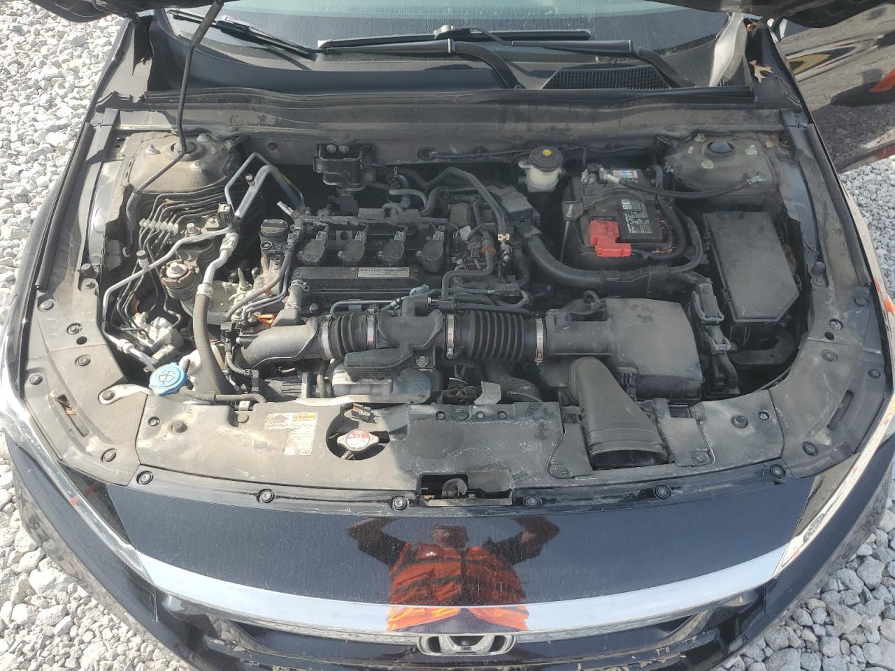 1HGCV1F50KA167836 2019 Honda Accord Exl