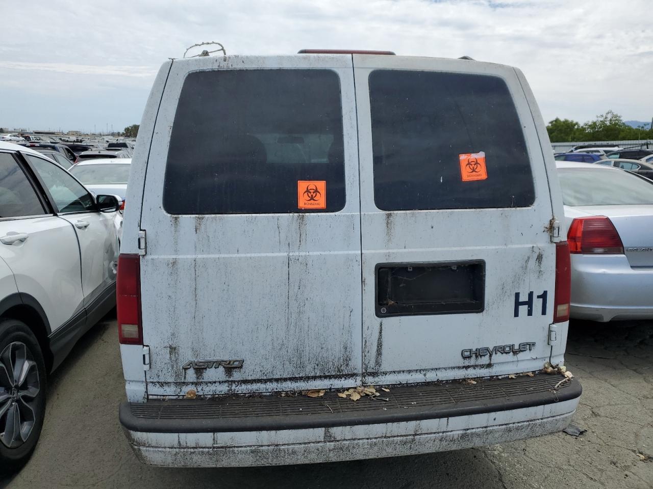 2003 Chevrolet Astro VIN: 1GNDM19X13B136259 Lot: 64882724