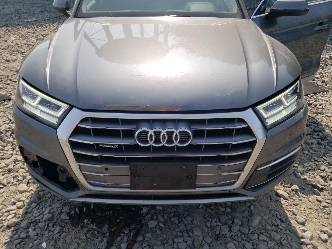 2019 Audi Q5 Premium Plus VIN: WA1BNAFY3K2045660 Lot: 67612614