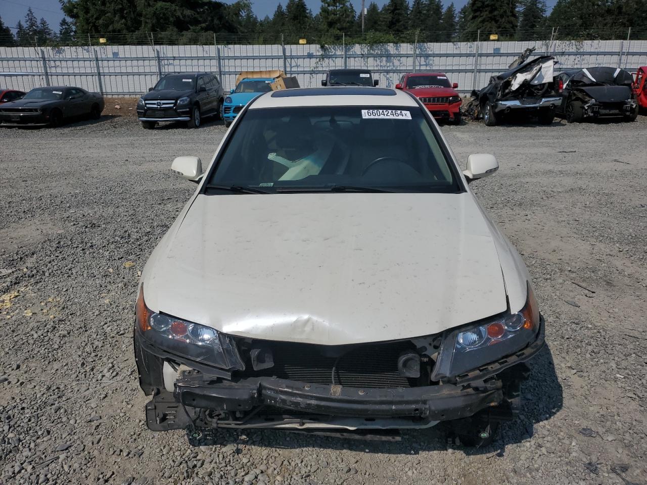 2006 Acura Tsx VIN: JH4CL96976C036501 Lot: 66042464