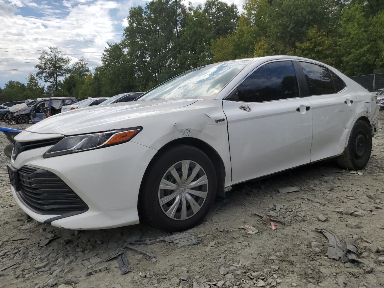 2019 Toyota Camry Le VIN: 4T1B31HK8KU513208 Lot: 68224314