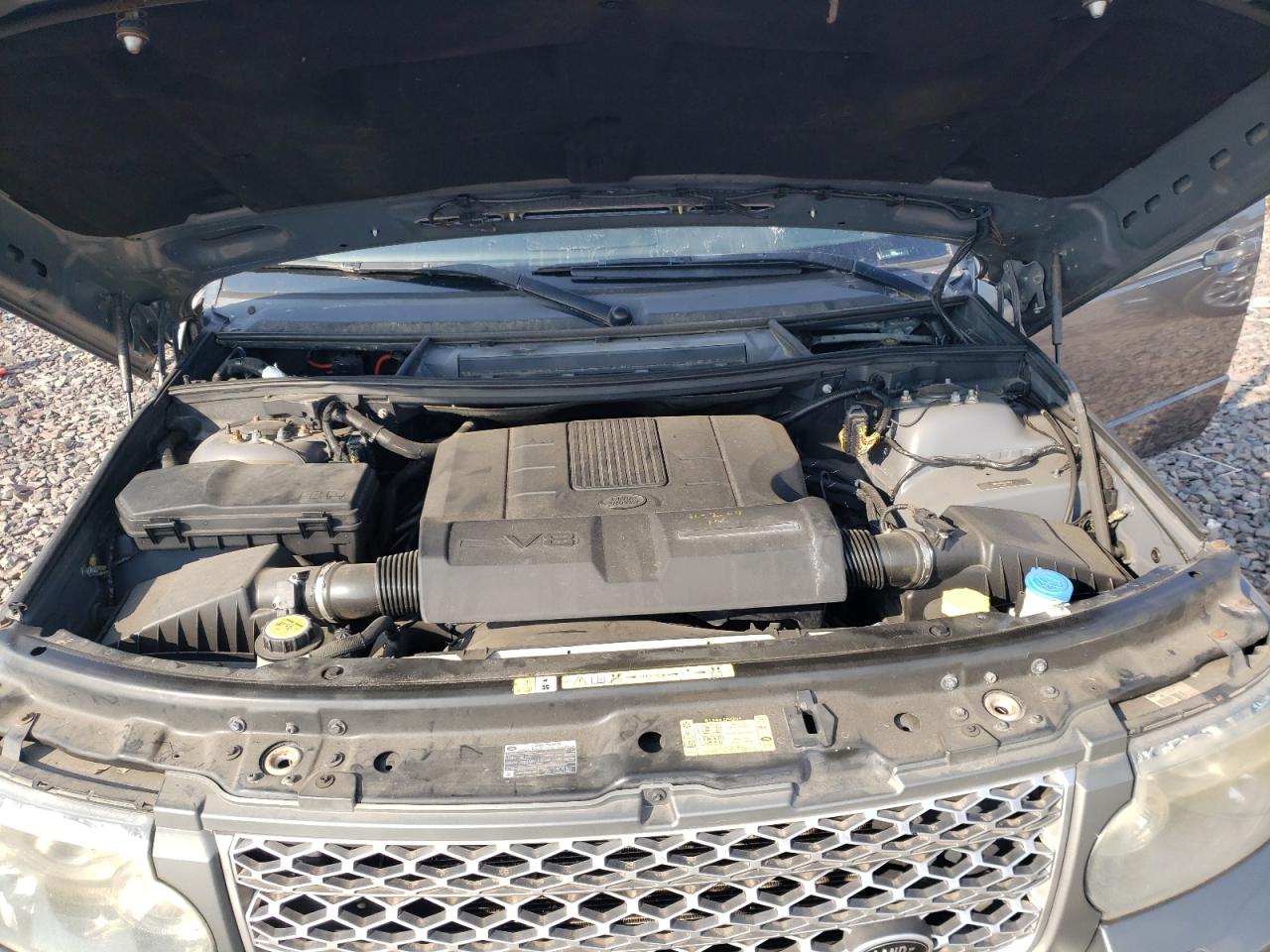 2010 Land Rover Range Rover Hse VIN: SALME1D42AA308250 Lot: 66247854