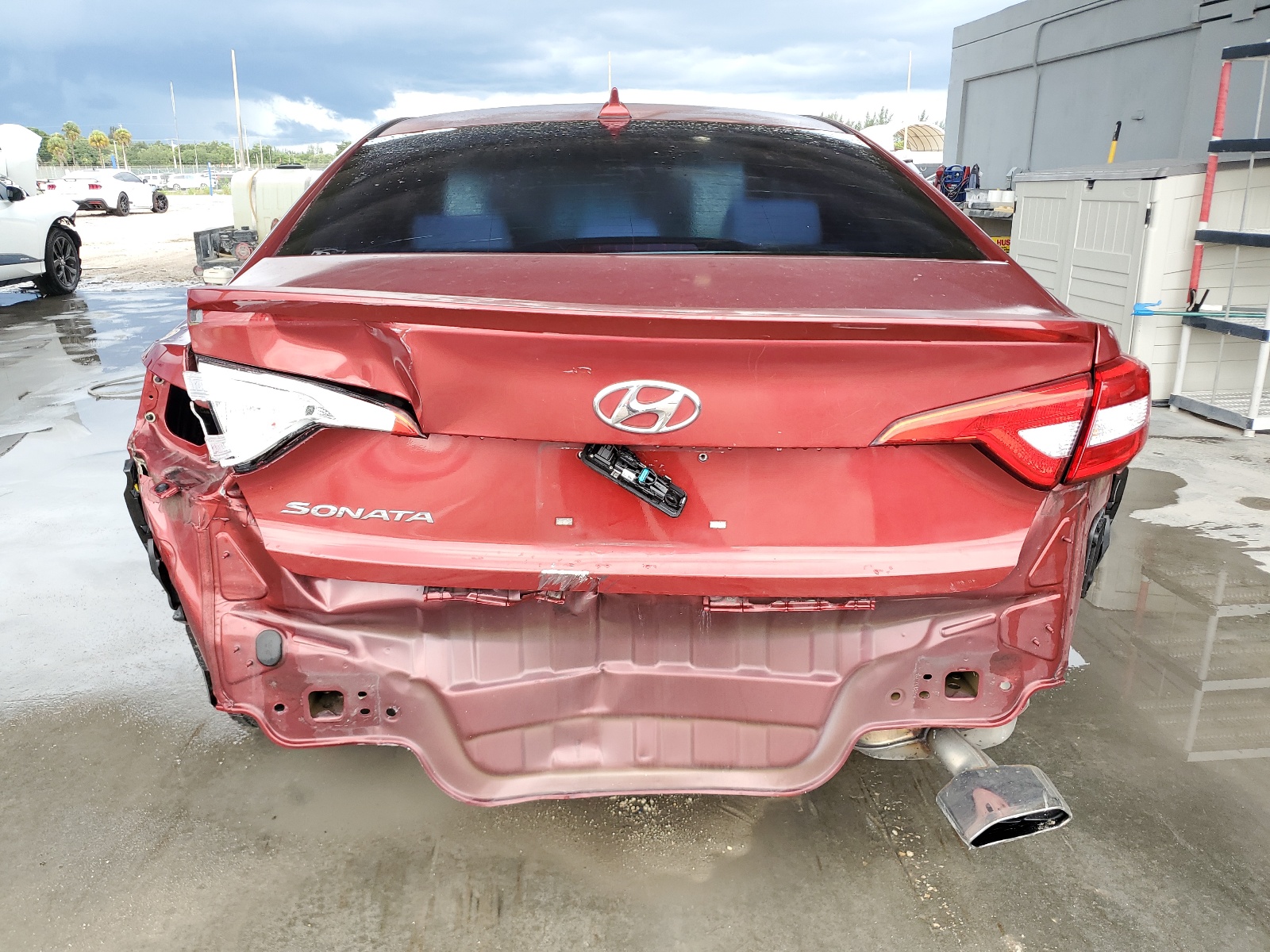 5NPE24AF1GH428876 2016 Hyundai Sonata Se