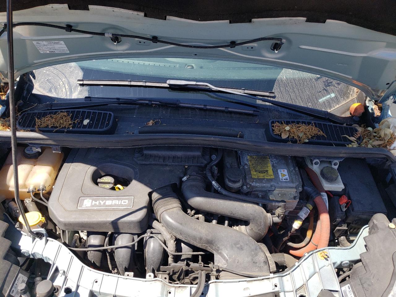 2013 Ford C-Max Se VIN: 1FADP5AU8DL530903 Lot: 66809634