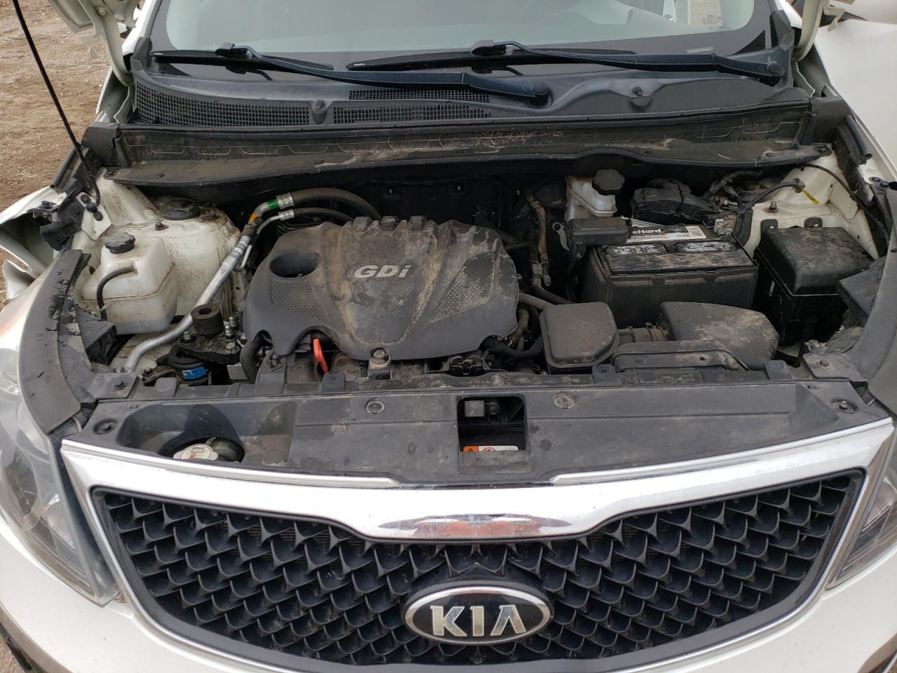 KNDPB3AC8G7795187 2016 Kia Sportage Lx