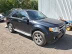 2009 Ford Escape Xlt იყიდება Cookstown-ში, ON - Water/Flood