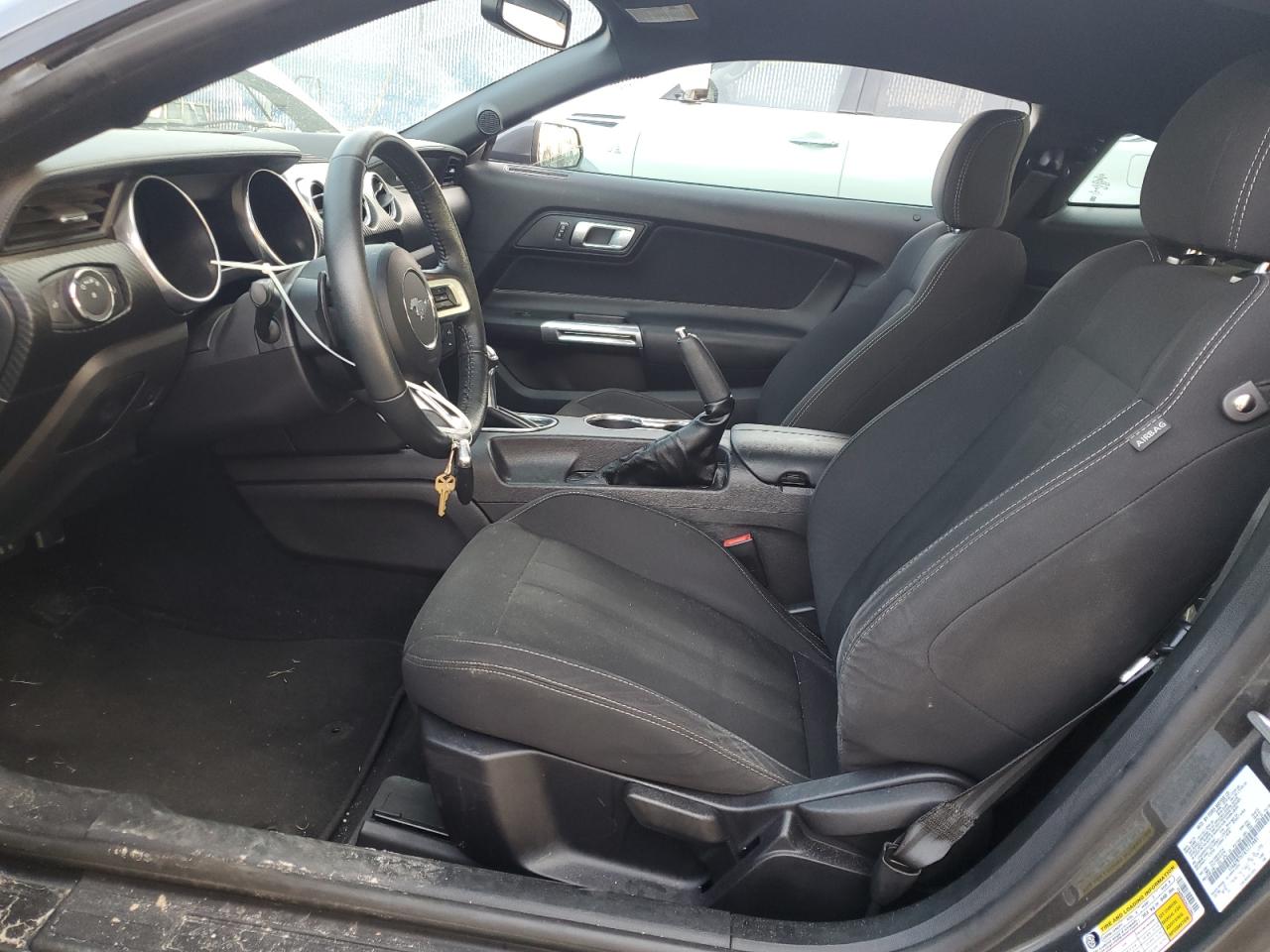 2019 Ford Mustang VIN: 1FA6P8TH1K5173981 Lot: 66610014