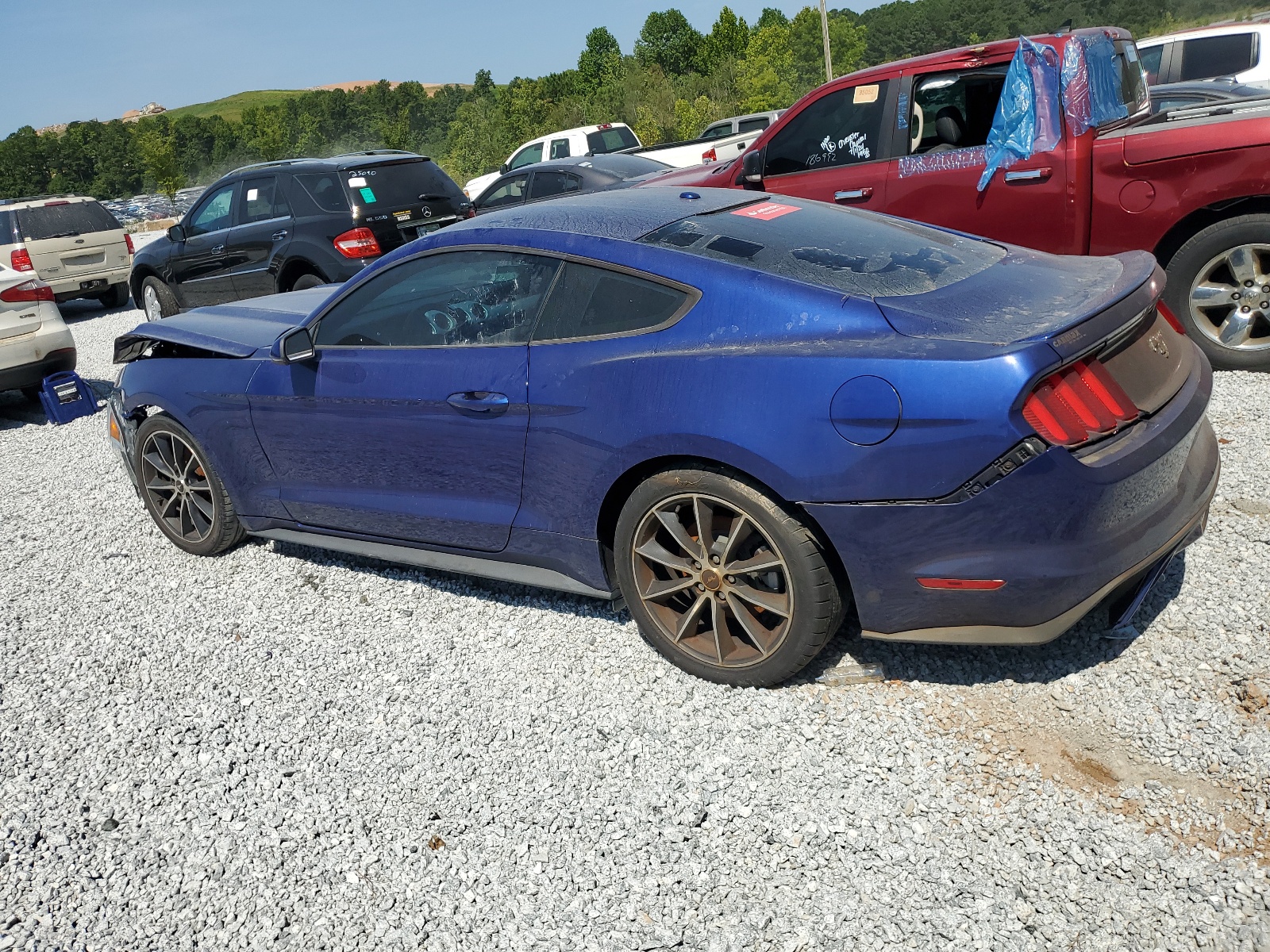 2016 Ford Mustang vin: 1FA6P8THXG5259538