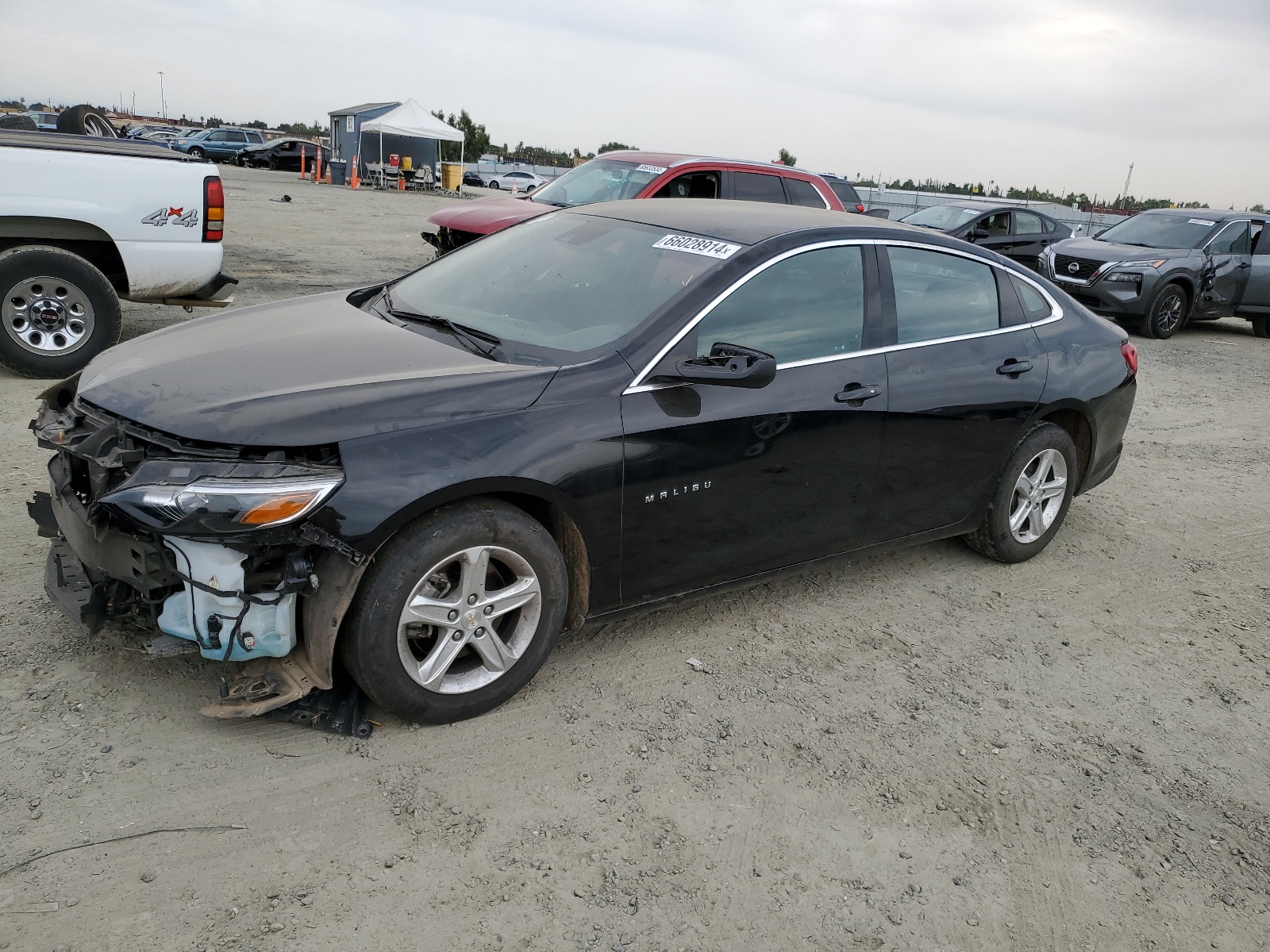 2023 Chevrolet Malibu Lt vin: 1G1ZD5ST0PF248099