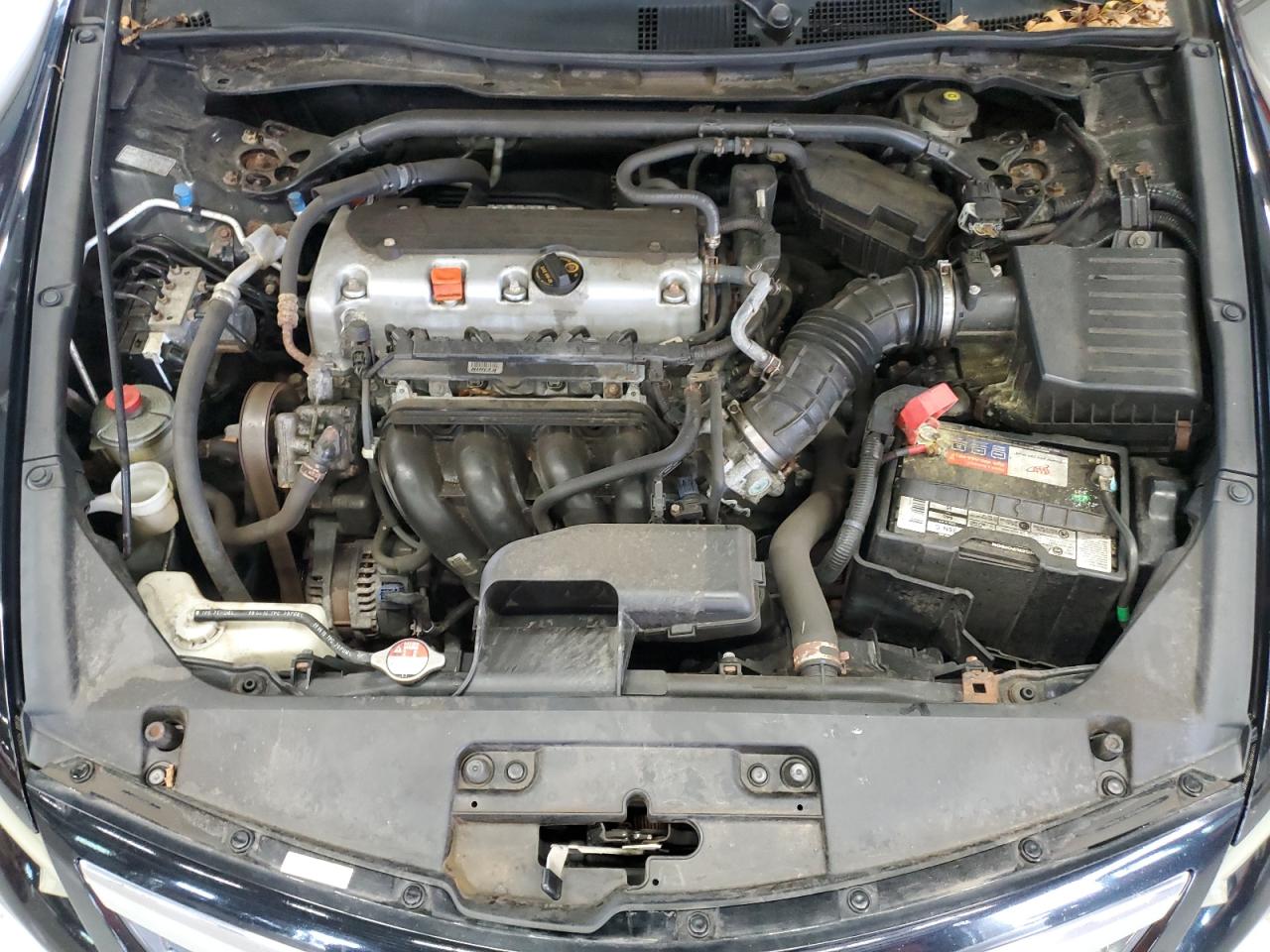 1HGCS1B81BA004136 2011 Honda Accord Exl 1HGCS1B81BA004136 2011 Honda Accord Exl