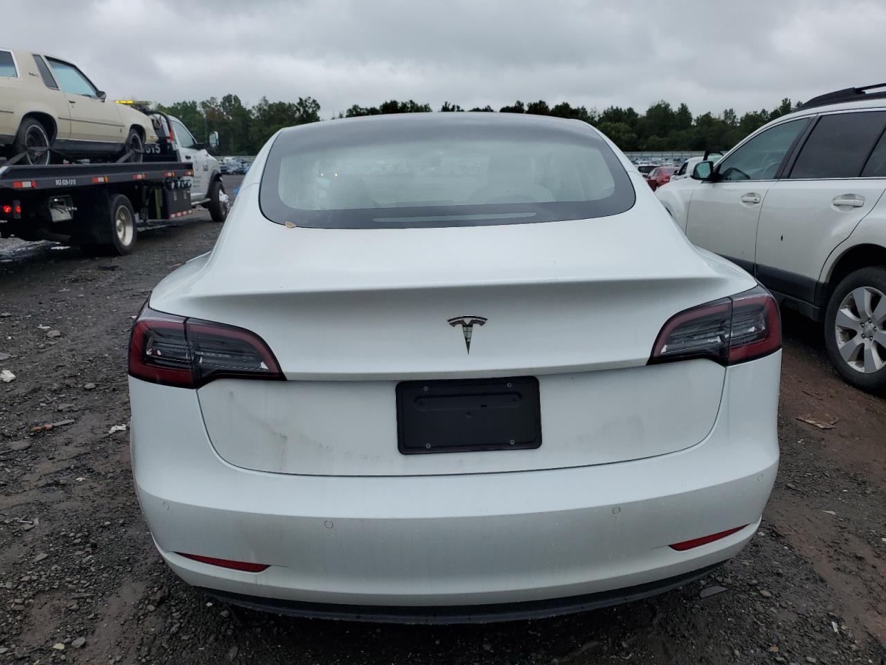 2021 Tesla Model 3 VIN: 5YJ3E1EA0MF978298 Lot: 66661834