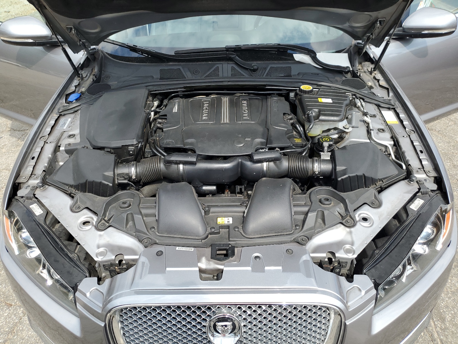 SAJWJ0EF4D8S81538 2013 Jaguar Xf