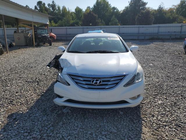  HYUNDAI SONATA 2013 White