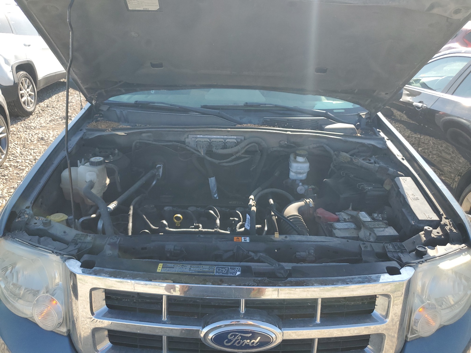 1FMCU9D77BKC62310 2011 Ford Escape Xlt