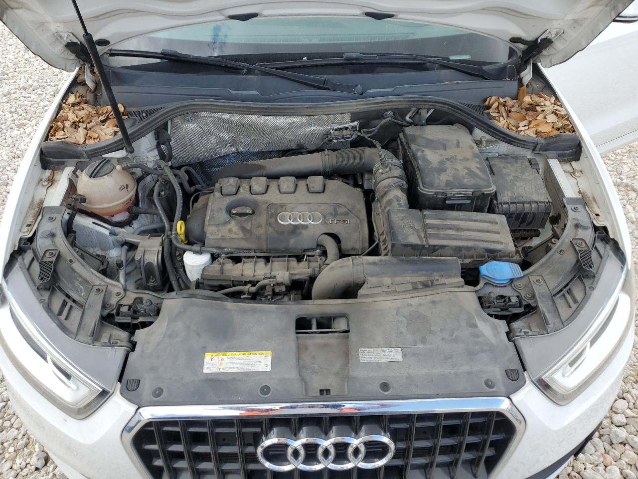 WA1BFCFS6FR013268 2015 Audi Q3 Premium Plus