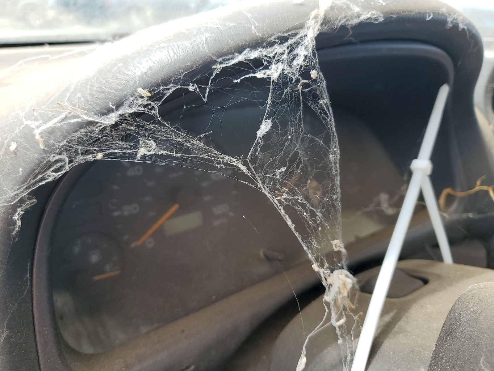 JF1SF635XWG709414 1998 Subaru Forester L