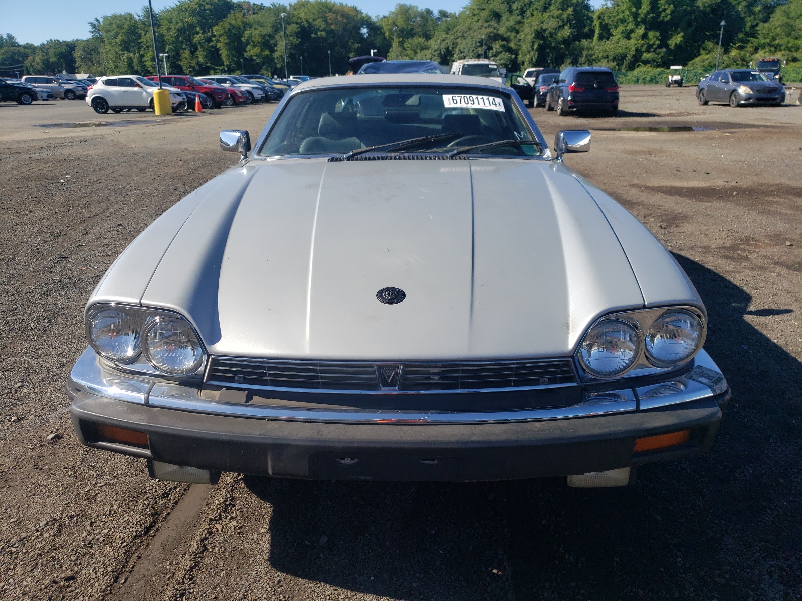 sajnv5843gc131039 SAJNV5843GC131039 1986 Jaguar Xjs