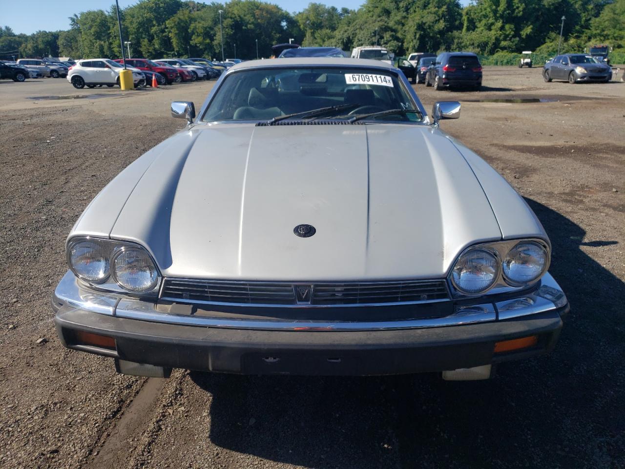 1986 Jaguar Xjs VIN: SAJNV5843GC131039 Lot: 67091114