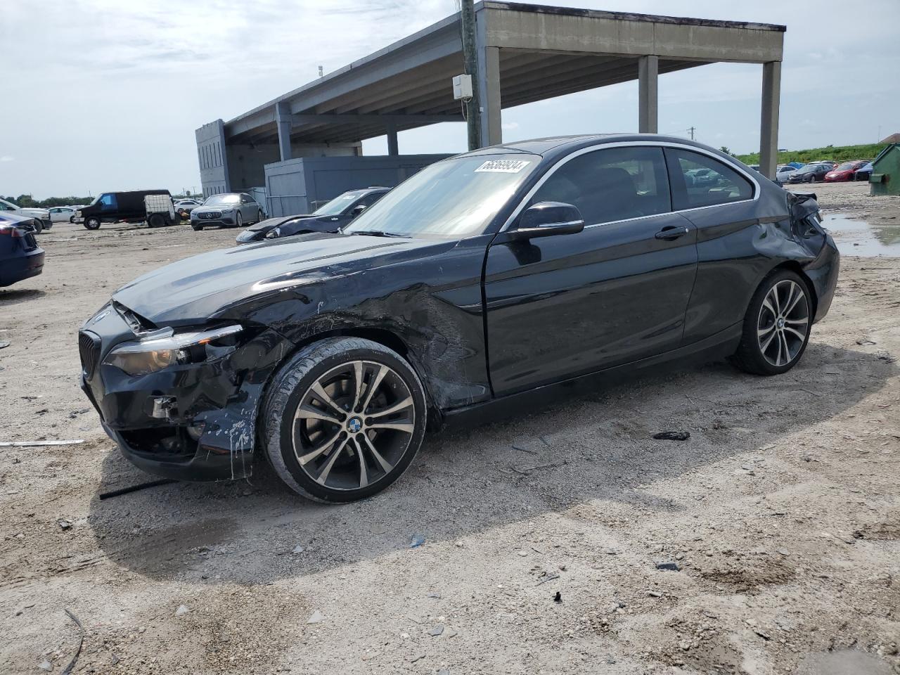 2017 BMW 230I VIN: WBA2F9C38HV983846 Lot: 66369934